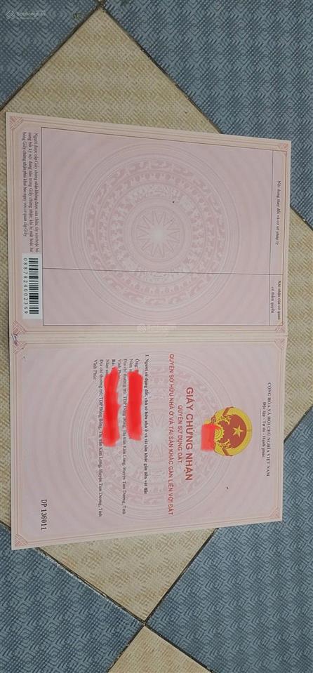 Bất động sản tại Vĩnh Phúc - ảnh 1