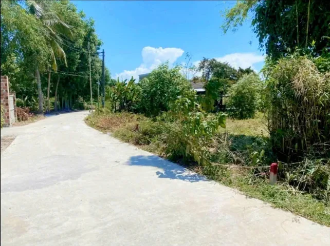 Bất động sản tại Thừa Thiên Huế - ảnh 1