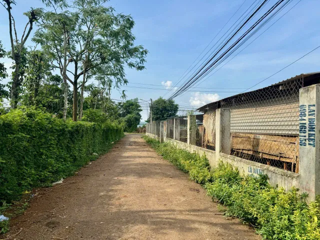 Bất động sản tại Đắk Lắk - ảnh 1
