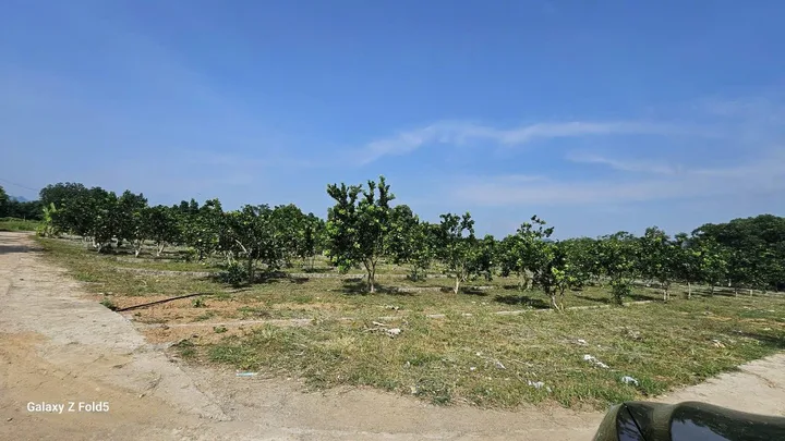 Bất động sản tại Hòa Bình - ảnh 1