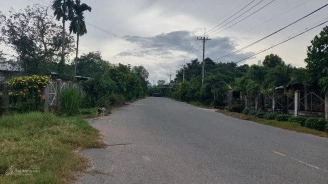 Bất động sản tại Bà Rịa - Vũng Tàu - ảnh 1