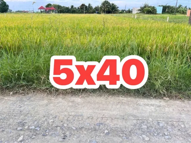 Bất động sản tại Tây Ninh - ảnh 1