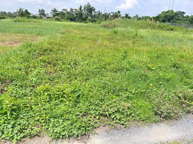 Bất động sản tại Tây Ninh - ảnh 1