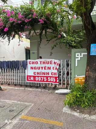 Bất động sản tại Đà Nẵng - ảnh 1