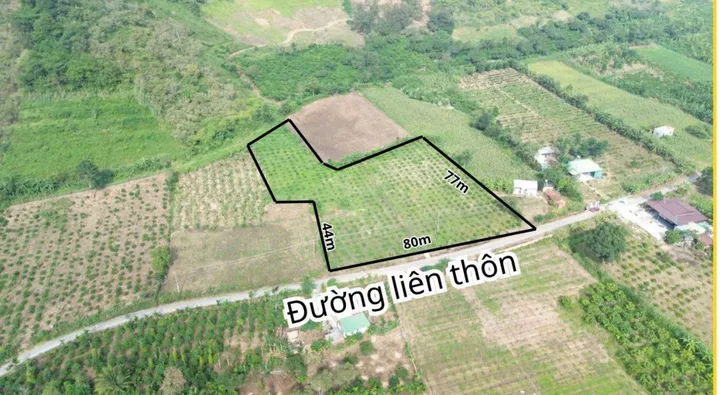 Bất động sản tại Đắk Lắk - ảnh 1