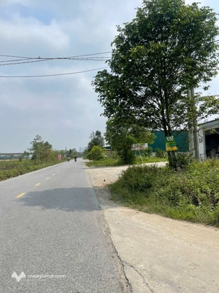 Bất động sản tại Nghệ An - ảnh 1
