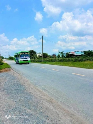 Bất động sản tại Long An - ảnh 1
