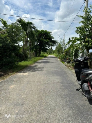 Bất động sản tại Long An - ảnh 1