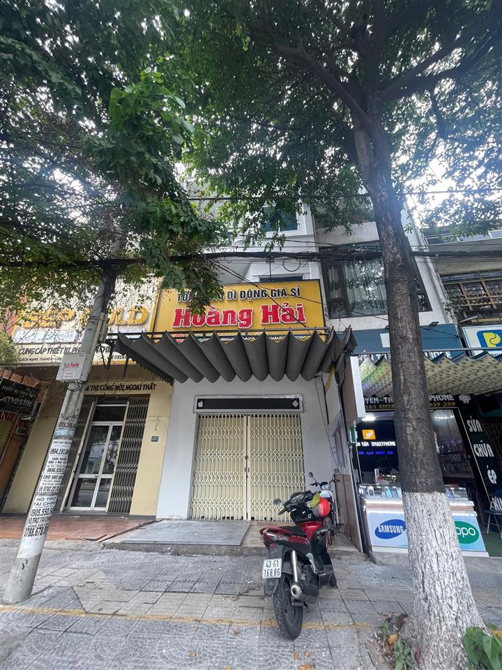 Bất động sản tại Đà Nẵng - ảnh 1