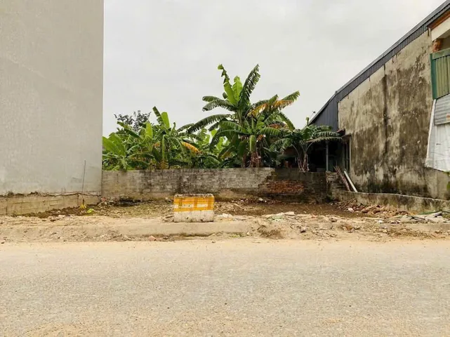 Bất động sản tại Hải Phòng - ảnh 1