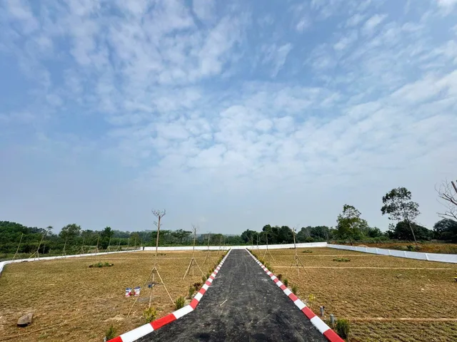Bất động sản tại Phú Thọ - ảnh 1