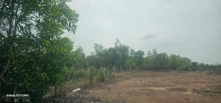 Bất động sản tại Đồng Nai - ảnh 1