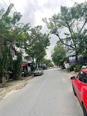 Bất động sản tại Đà Nẵng - ảnh 1
