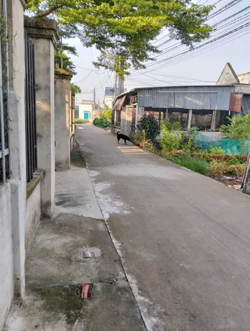 Bất động sản tại Tây Ninh - ảnh 1