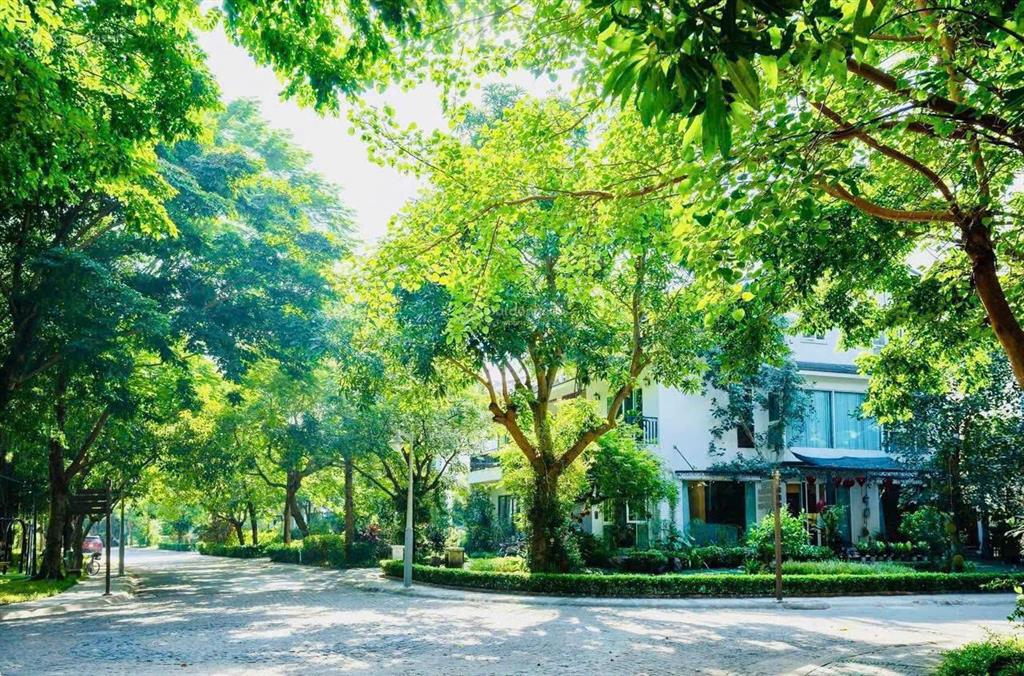 Bất động sản tại Hưng Yên - ảnh 1