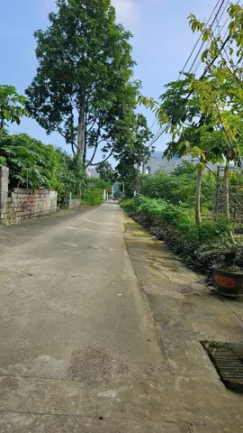 Bất động sản tại Hòa Bình - ảnh 1