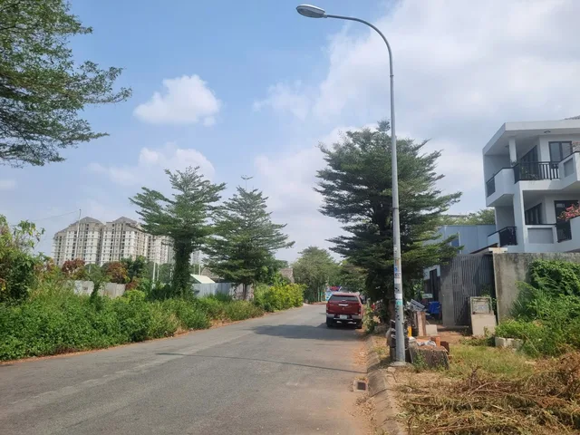 Bất động sản tại TP. Hồ Chí Minh - ảnh 1