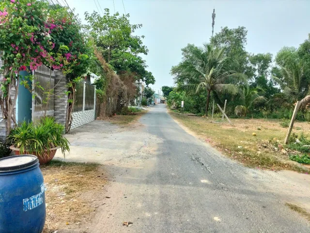 Bất động sản tại Long An - ảnh 1