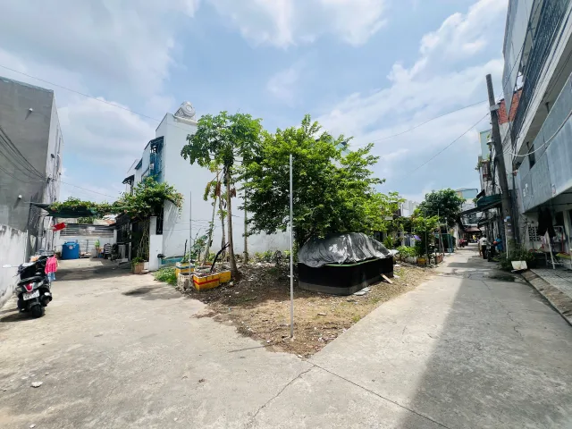 Bất động sản tại TP. Hồ Chí Minh - ảnh 1