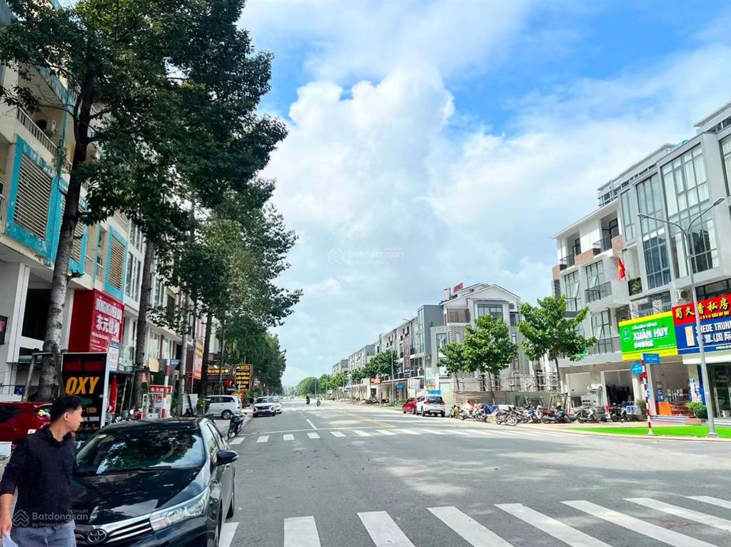 Bất động sản tại Bình Dương - ảnh 1