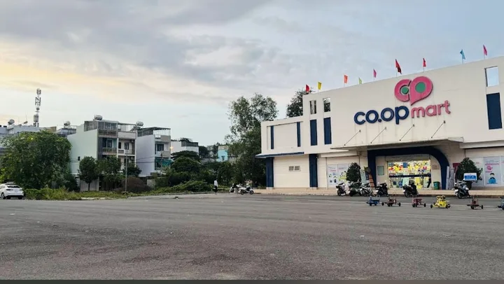 Bất động sản tại TP. Hồ Chí Minh - ảnh 1