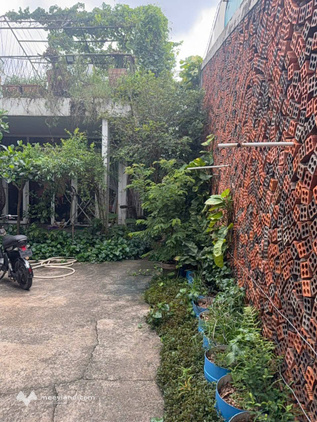 Bất động sản tại Bình Dương - ảnh 1