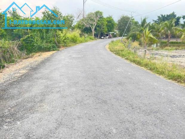 Bất động sản tại Long An - ảnh 1