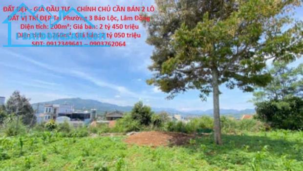 Bất động sản tại Lâm Đồng - ảnh 1