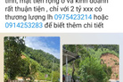 Bất động sản tại Yên Bái - ảnh 1