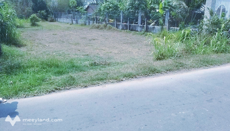 Bất động sản tại Bình Dương - ảnh 1