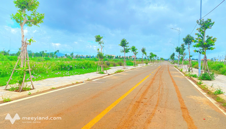 Bất động sản tại Lâm Đồng - ảnh 1