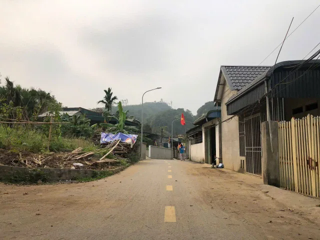 Bất động sản tại Phú Thọ - ảnh 1