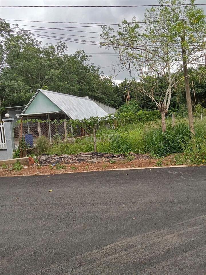 Bất động sản tại Bình Dương - ảnh 1