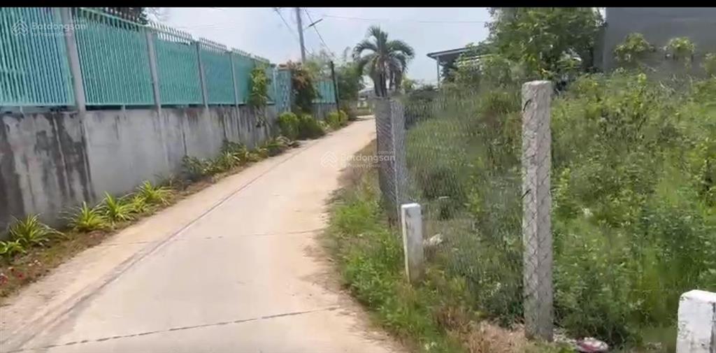 Bất động sản tại Long An - ảnh 1
