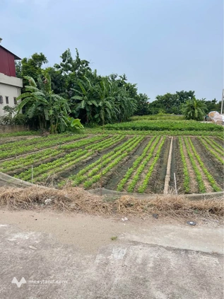 Bất động sản tại Bắc Ninh - ảnh 1