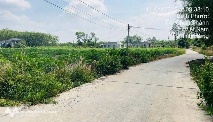 Bất động sản tại Bình Phước - ảnh 1