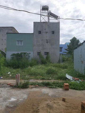 Bất động sản tại Long An - ảnh 1