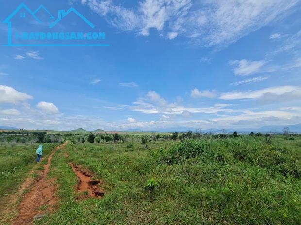 Bất động sản tại Bình Thuận - ảnh 1