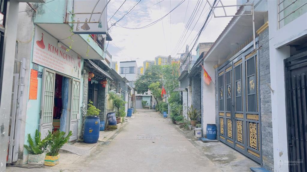 Bất động sản tại Bình Dương - ảnh 1