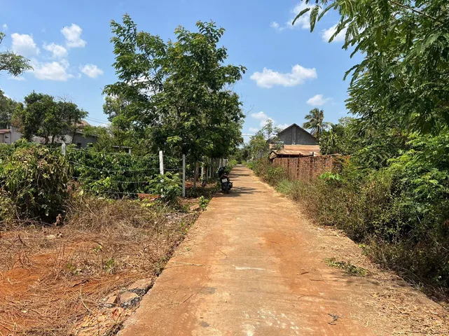 Bất động sản tại Đắk Lắk - ảnh 1
