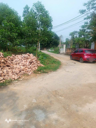 Bất động sản tại Vĩnh Phúc - ảnh 1