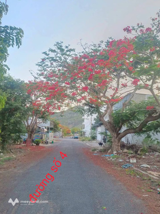 Bất động sản tại An Giang - ảnh 1