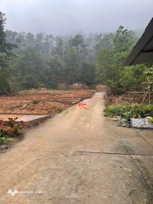 Bất động sản tại Bắc Ninh - ảnh 1