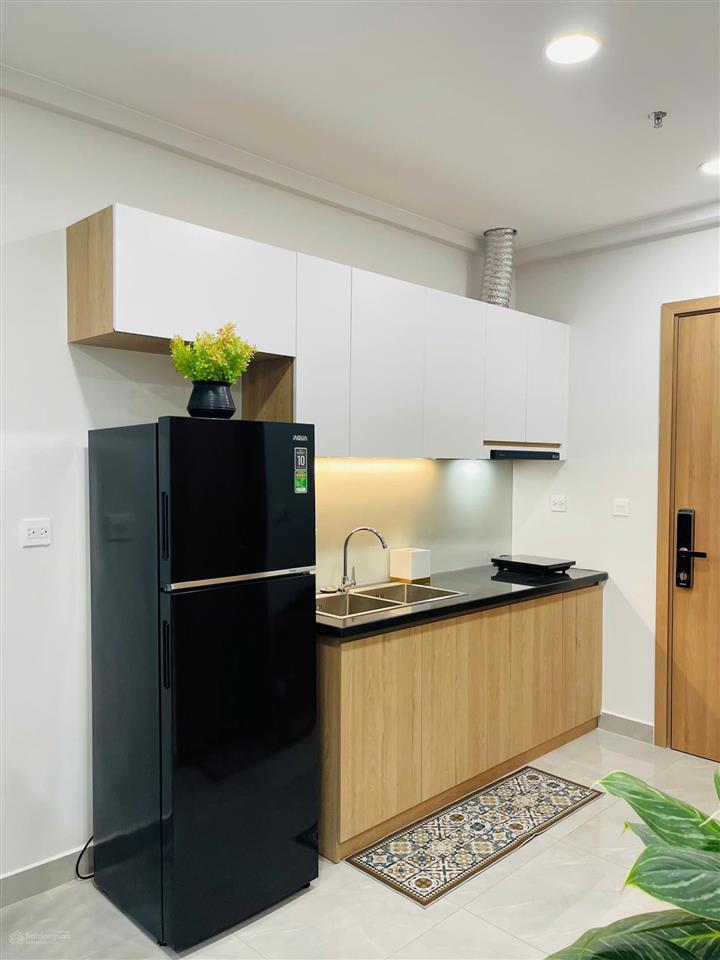 Bất động sản tại Bình Dương - ảnh 1