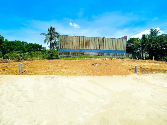 Bất động sản tại Đà Nẵng - ảnh 1