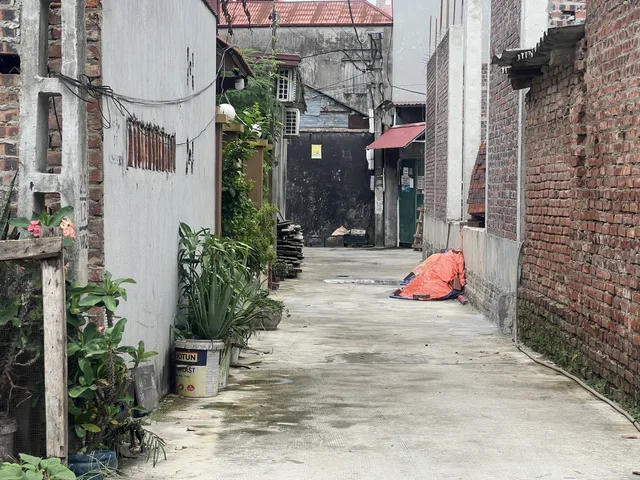 Bất động sản tại Bắc Ninh - ảnh 1