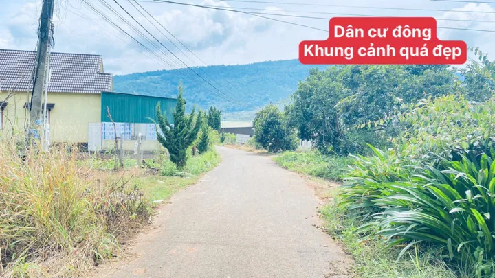 Bất động sản tại Lâm Đồng - ảnh 1