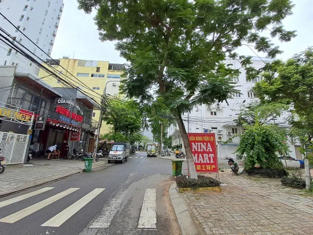 Bất động sản tại Đà Nẵng - ảnh 1