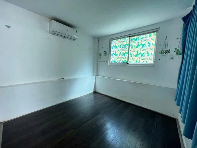 Bất động sản tại Bình Dương - ảnh 1