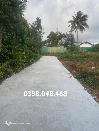 Bất động sản tại Đắk Lắk - ảnh 1